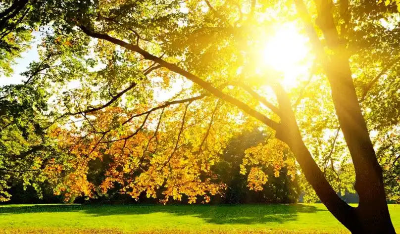 《暖暖的记忆》——余秋雨